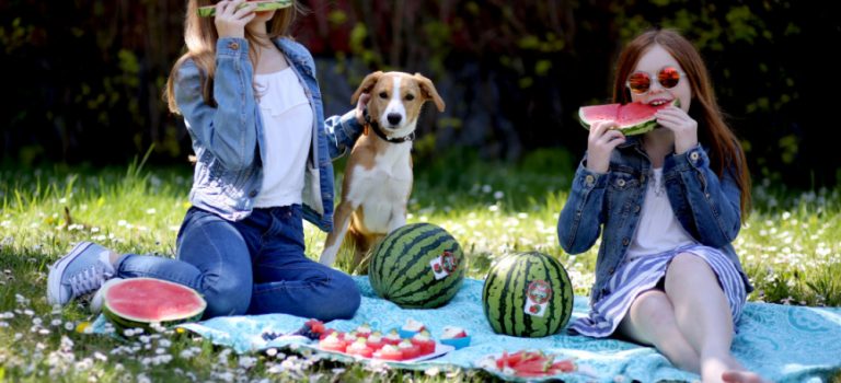 Oživte piknik nebo zahradní slavnost snadnými recepty z bezpeckových melounů